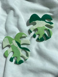 Monstera #7