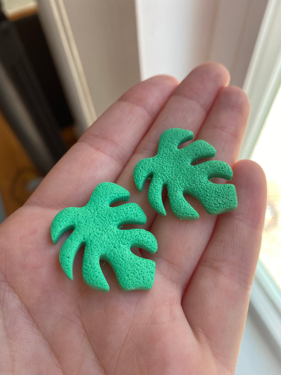 Mini Monstera